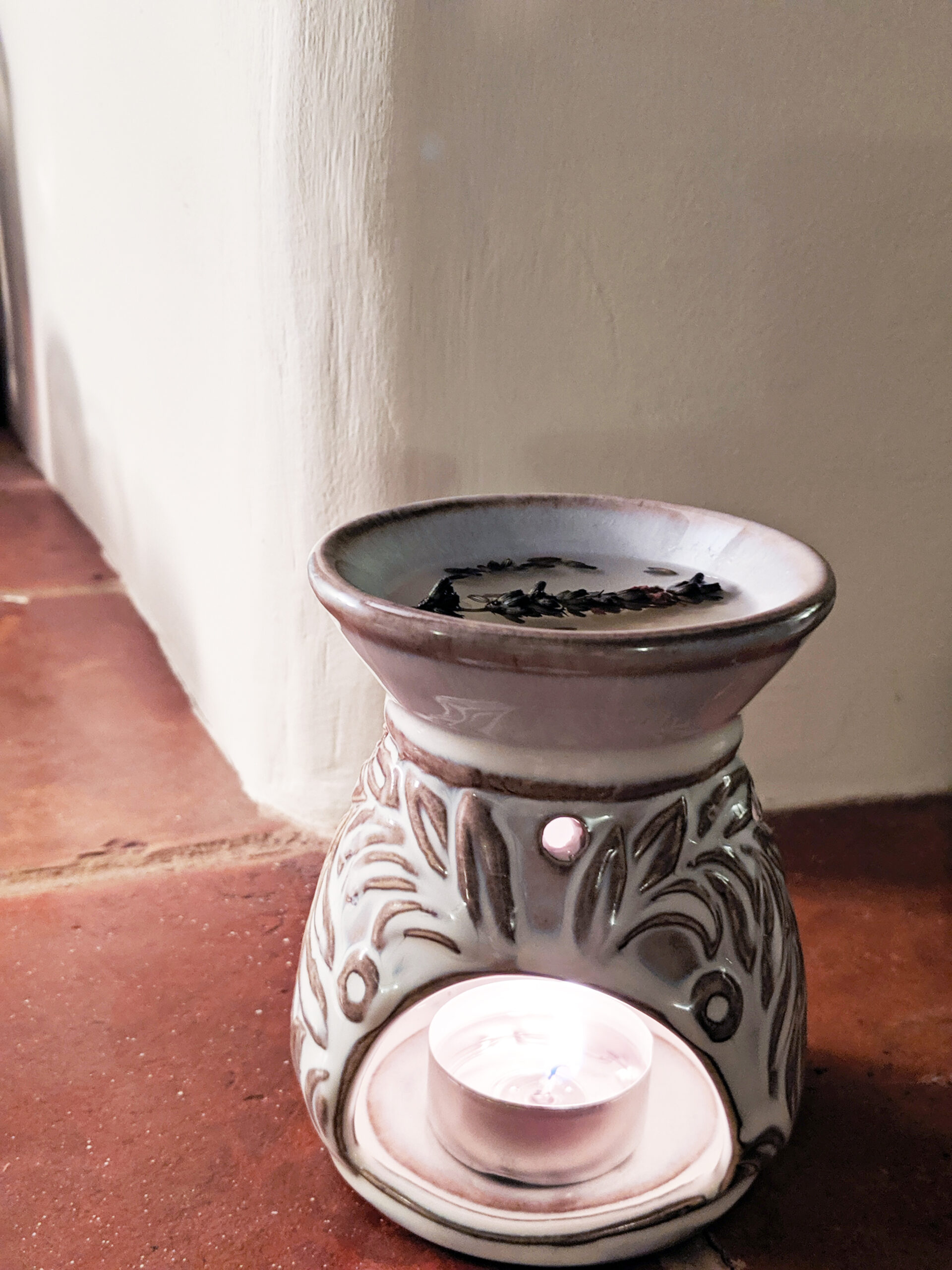 Song Bird Wan Melt Burner