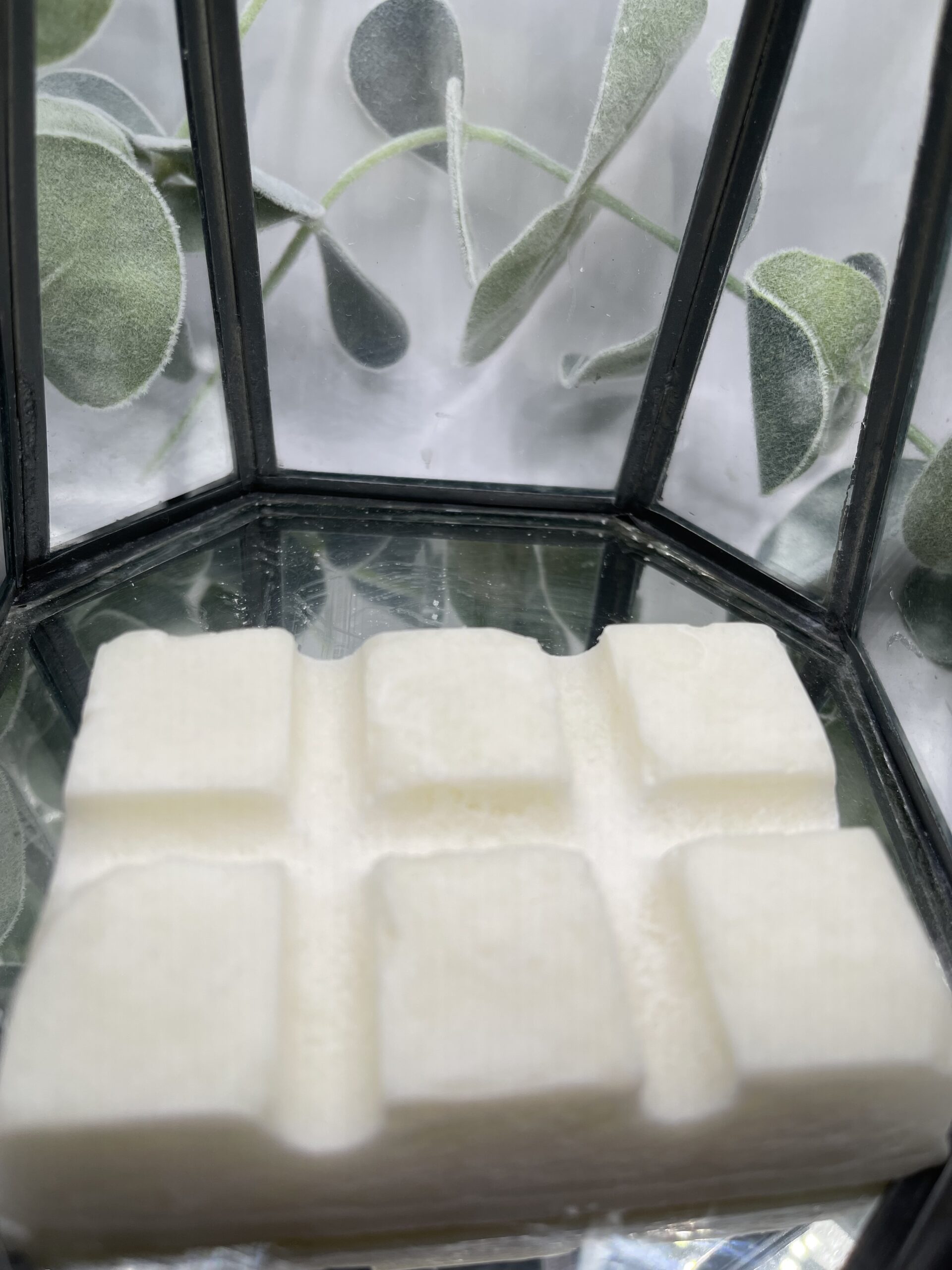 Dark honey with pepper 100 hour wax melts 4