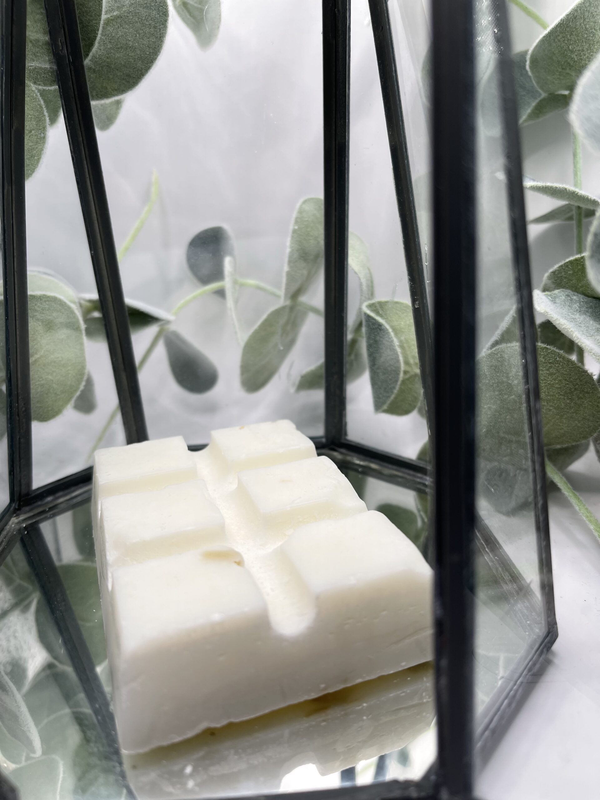 Plum and Rhubarb 100 hour wax melts 2