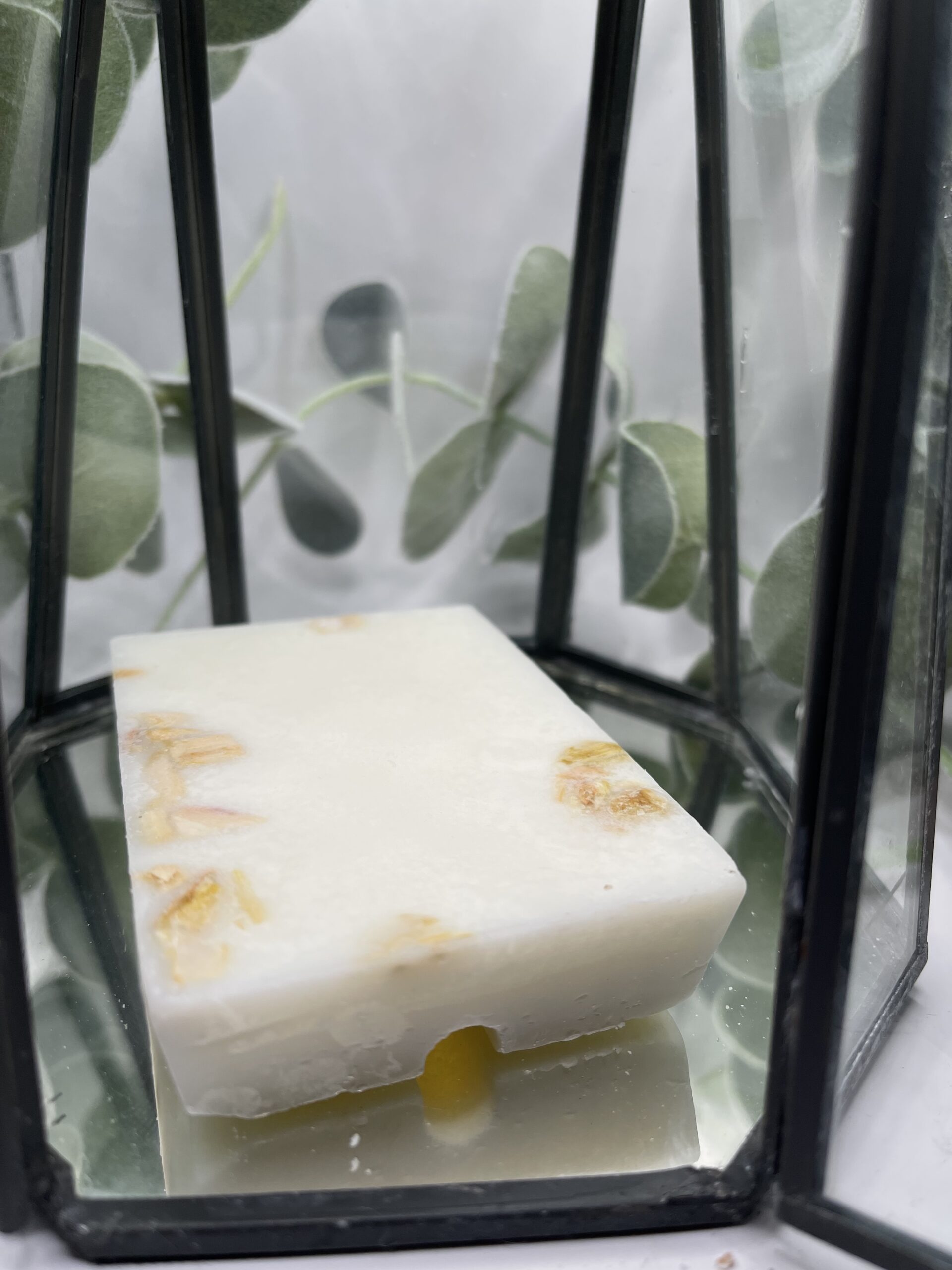 Plum and Rhubarb 100 hour wax melts 3