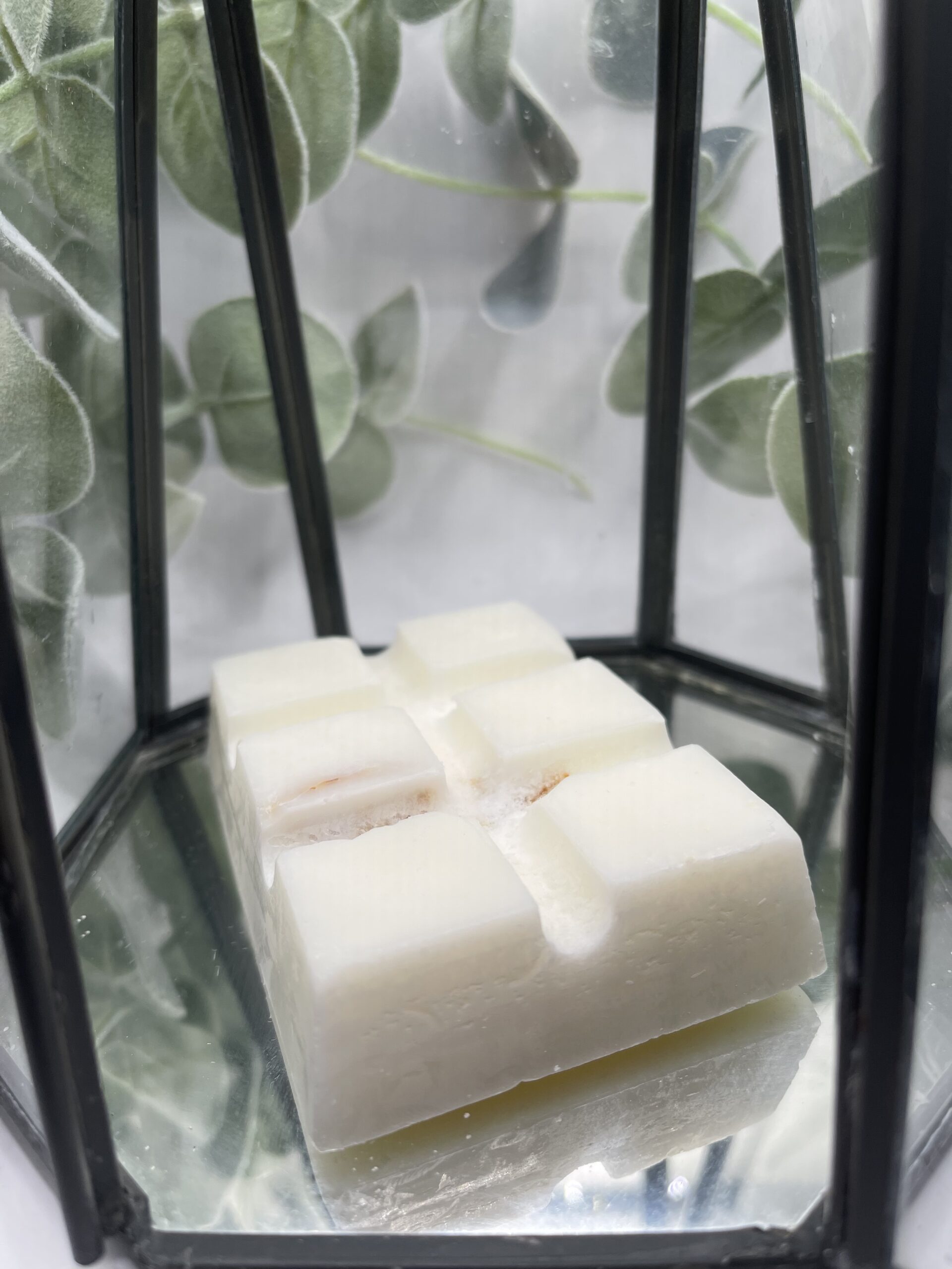 Blood Orange and Plum 100 hour wax melts 2