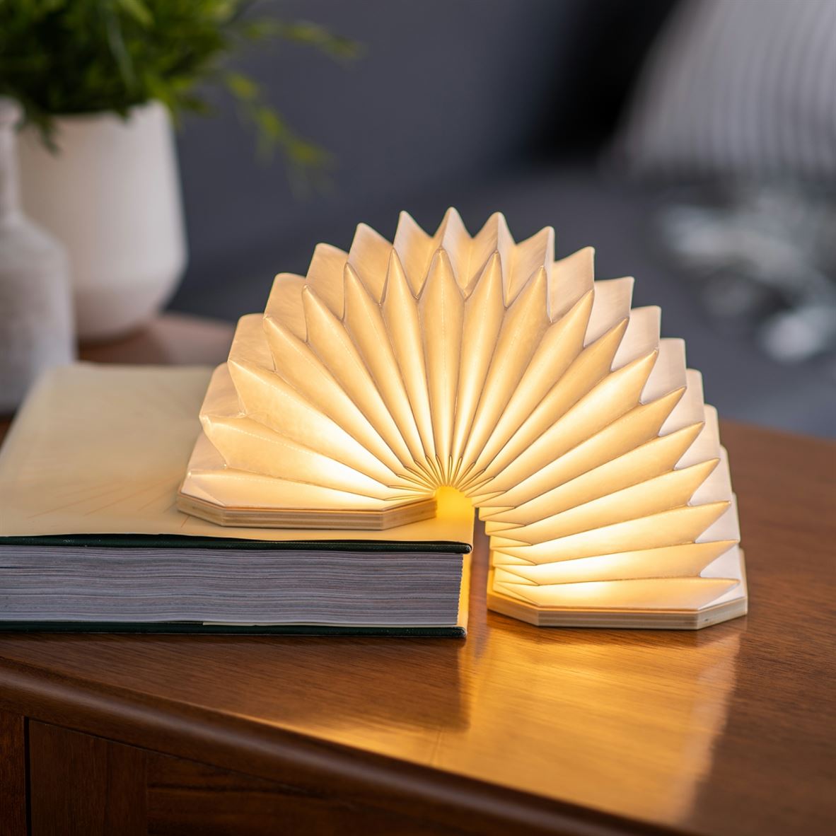 Gingko smart accordion lamp in bamboo slinky