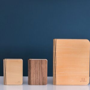 Gingko Mini Book Lights in wood finishes closed