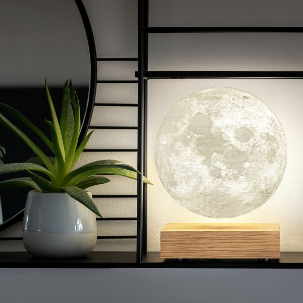 Gingko smart moon lamp next to plant