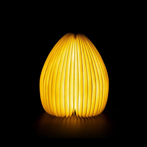 Smart Vase Light not lit plain black background