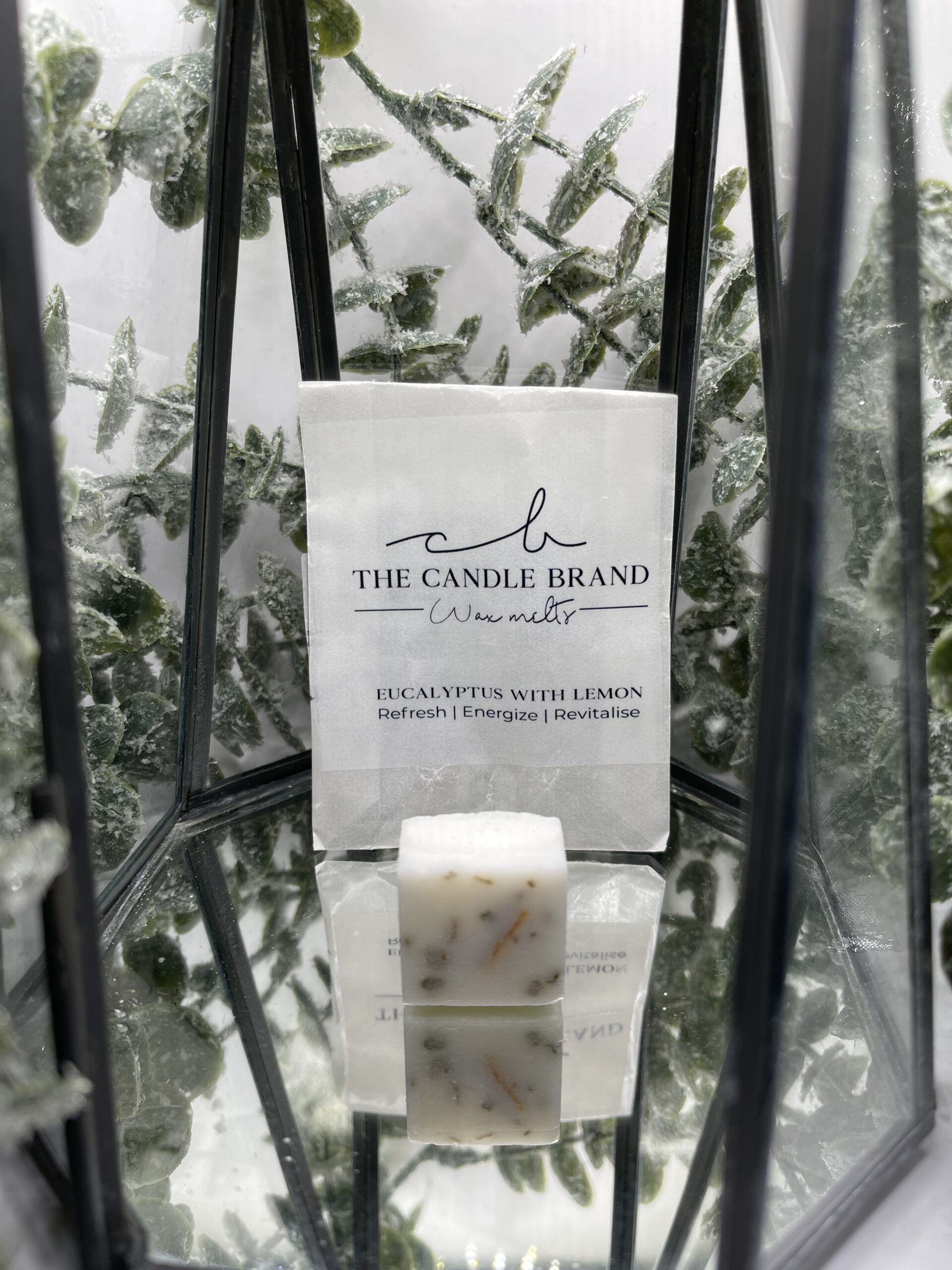 Eucalyptus with Lemon wax melts