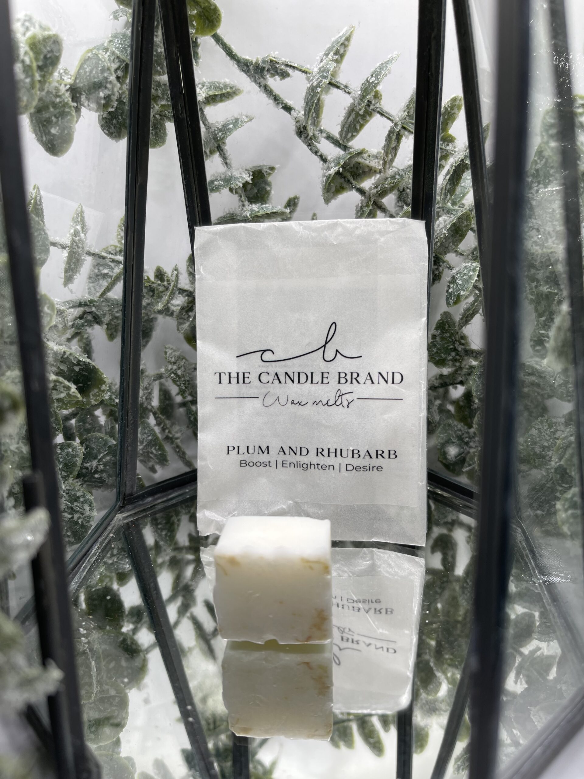 Plum and Rhubarb wax melts