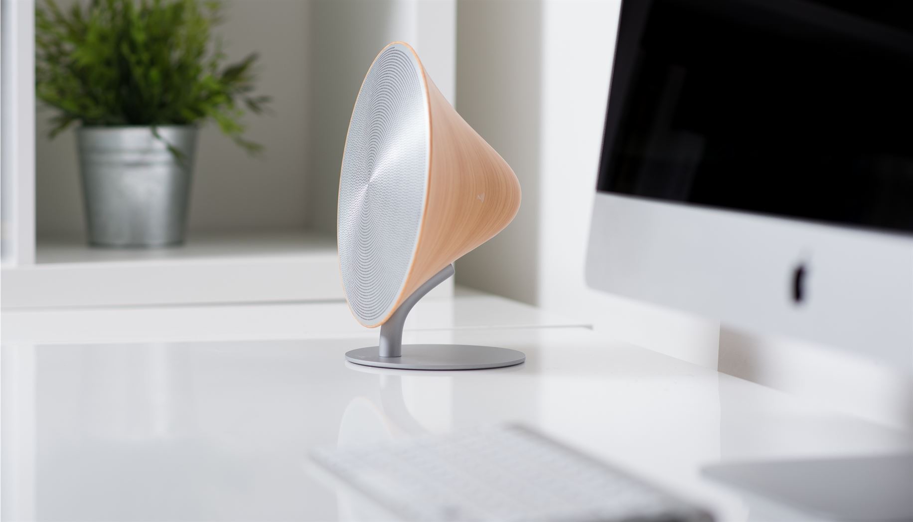 Gingko Halo One on white desk