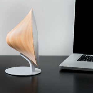 Gingk Halo one with laptop