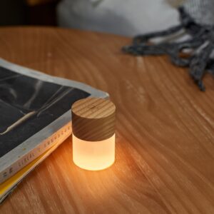 G026AH - Gingko Lemelia Light White Ash Lit on table