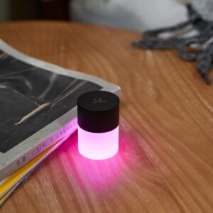 G026BK Gingko Lemelia Light Purple