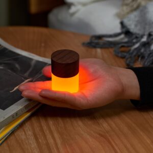 Gingko Walnut Mini Lemelia Light