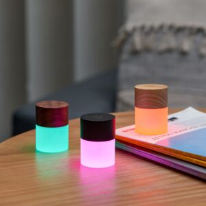 G026AH - Gingko Lemelia Light Selection