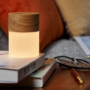 Gingko Design Large White Ash Lemelia Light