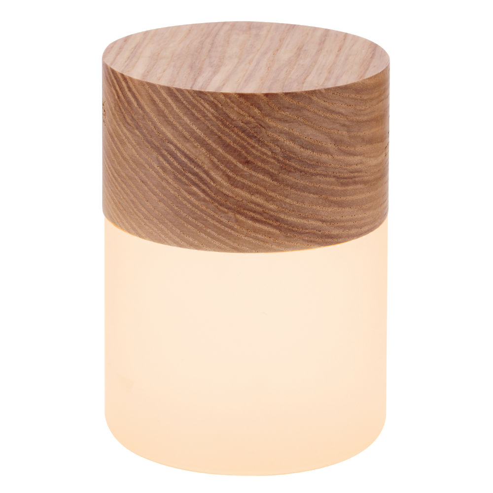 Gingko Design Large White Ash Lemelia Light lit