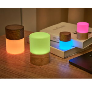 Lemelia Colour Changing Lights