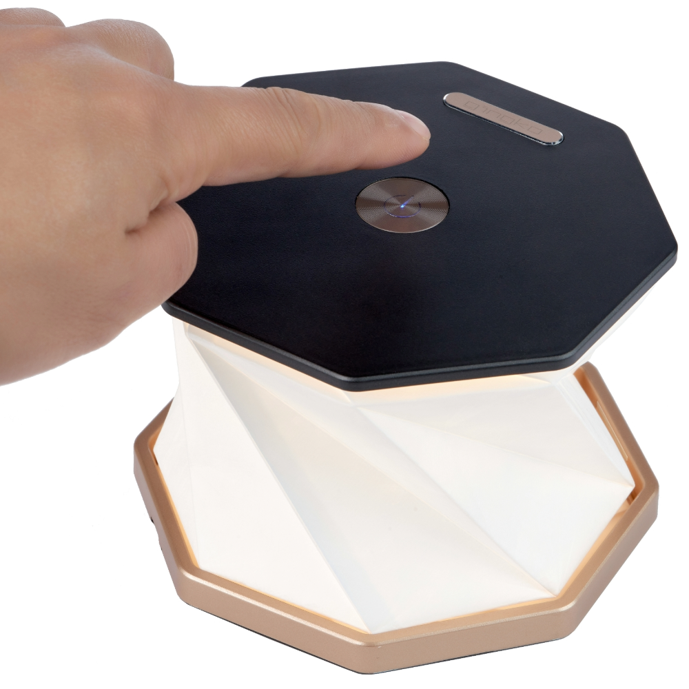 Gingko Hexagon Twist Light Black open no background 3 Gingko Hexagon Twist Light Black unlit no background