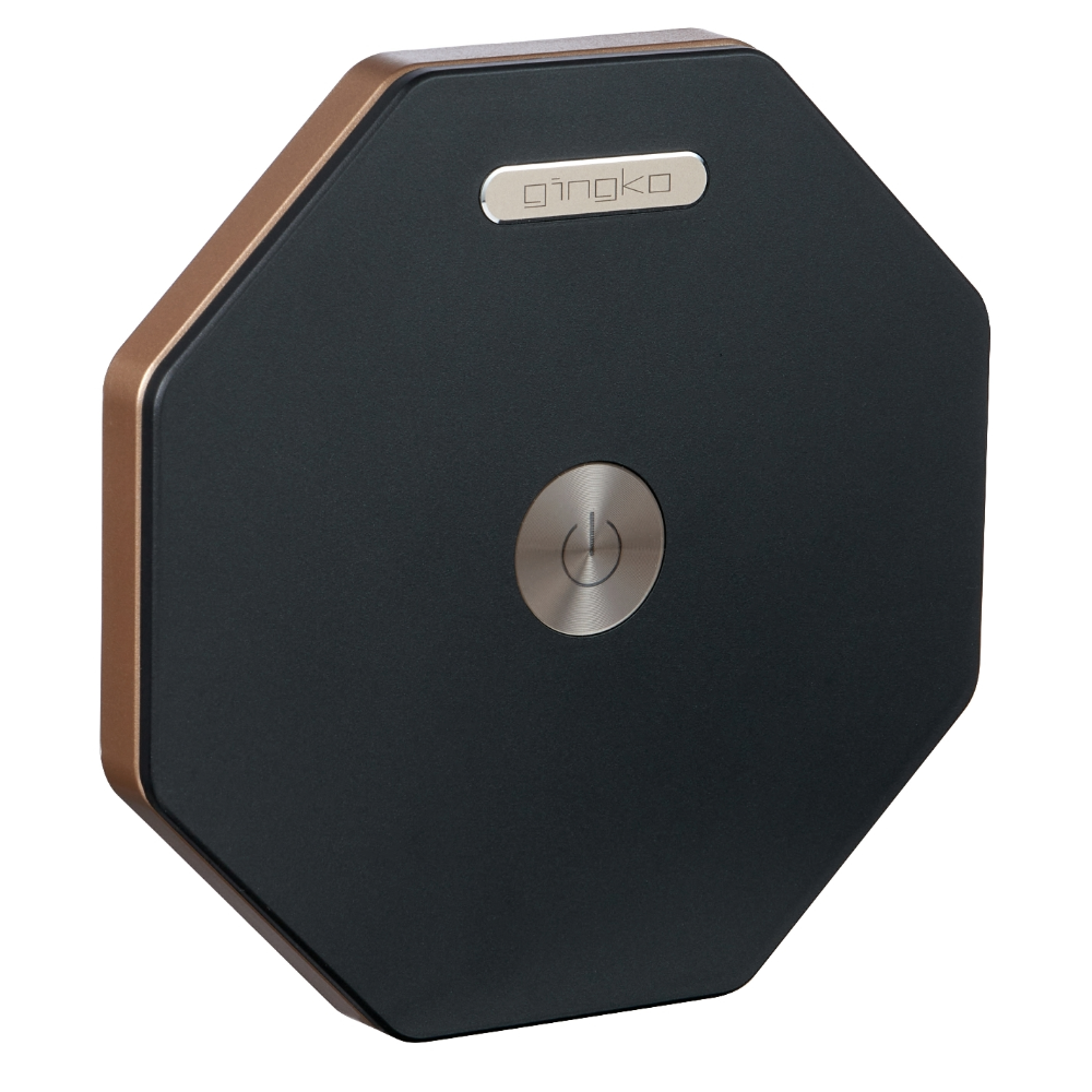 Gingko Hexagon Twist Light Black top no background 2 Gingko Hexagon Twist Light Black closed showing edge finish