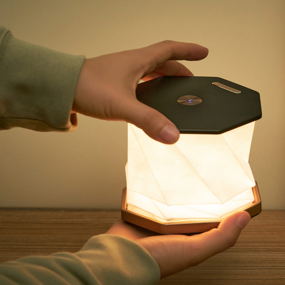 Gingko Hexagon Twist Light Walnut and Black being held Gingko Hexagon Twist Light Black held in hands