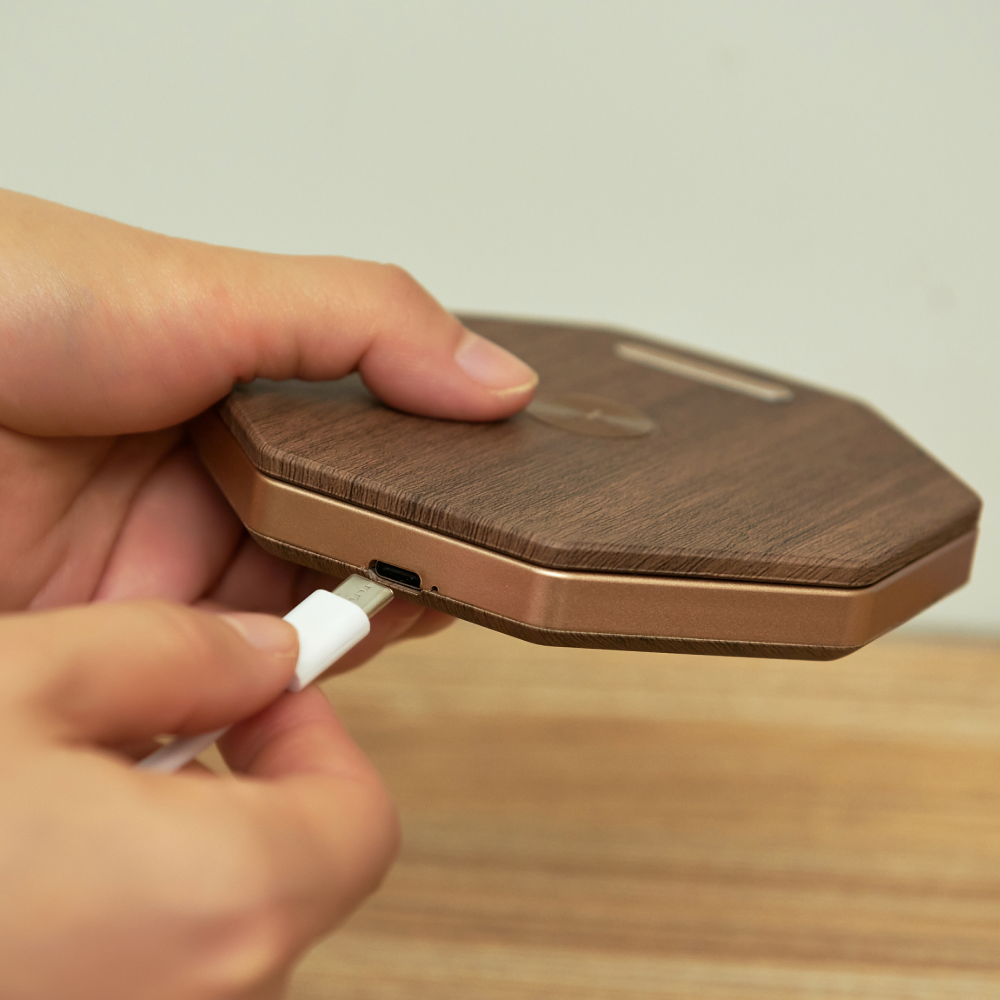 Gingko Hexagon Twist Light Walnut USB C charging socket
