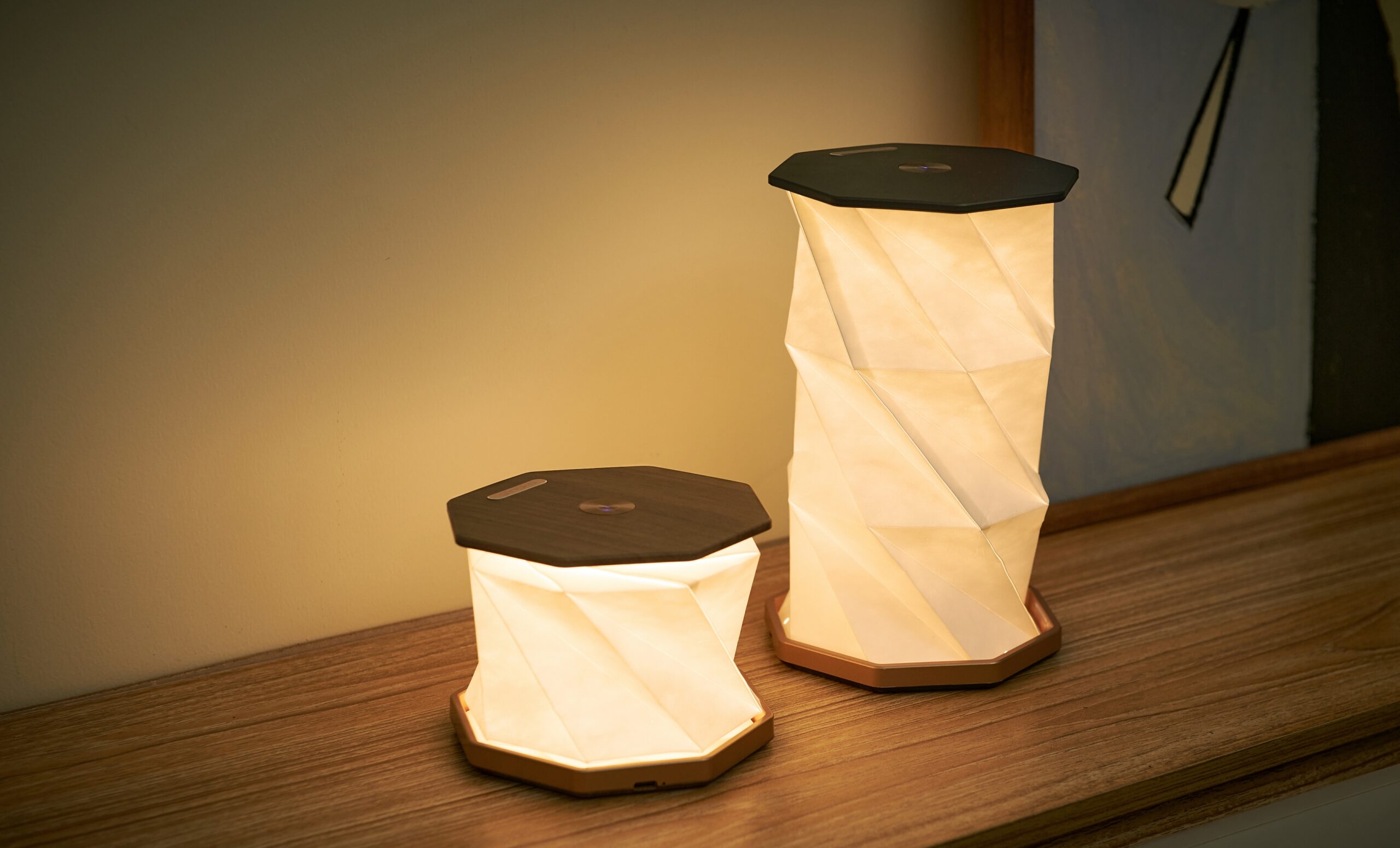 Gingko Hexagon twist light pair