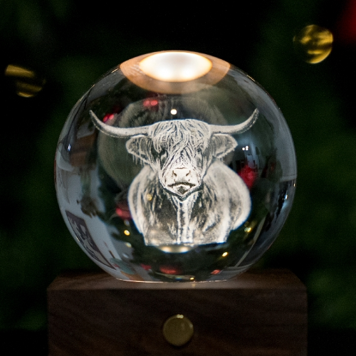 Gingko Highlands Cow