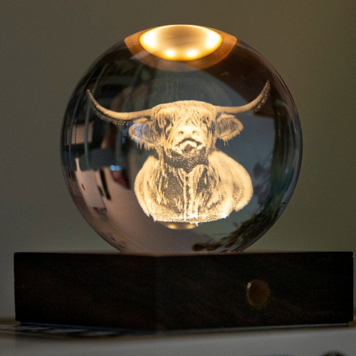 Gingko Design 3D Laser engraved Highland Cow Light