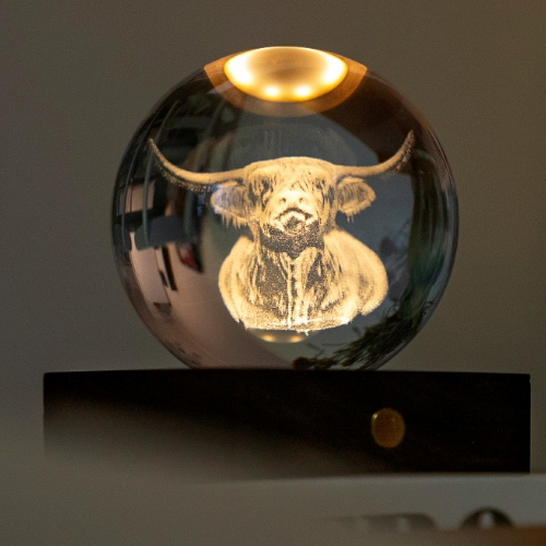 Highland Cow Gift idea