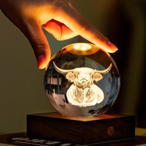 Light up Highland Cow home accessory